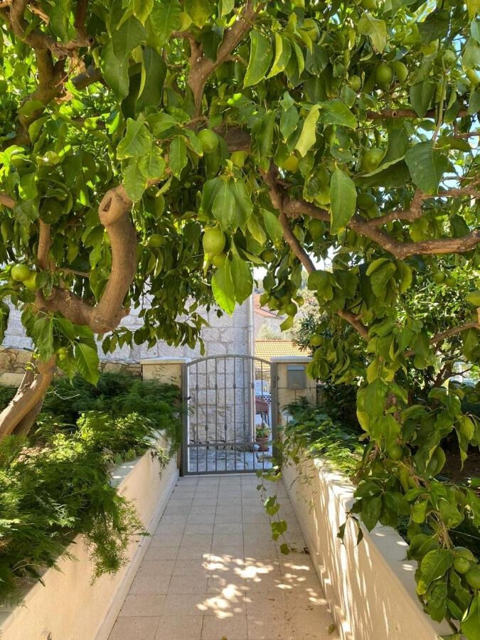 Photo of House Linda2