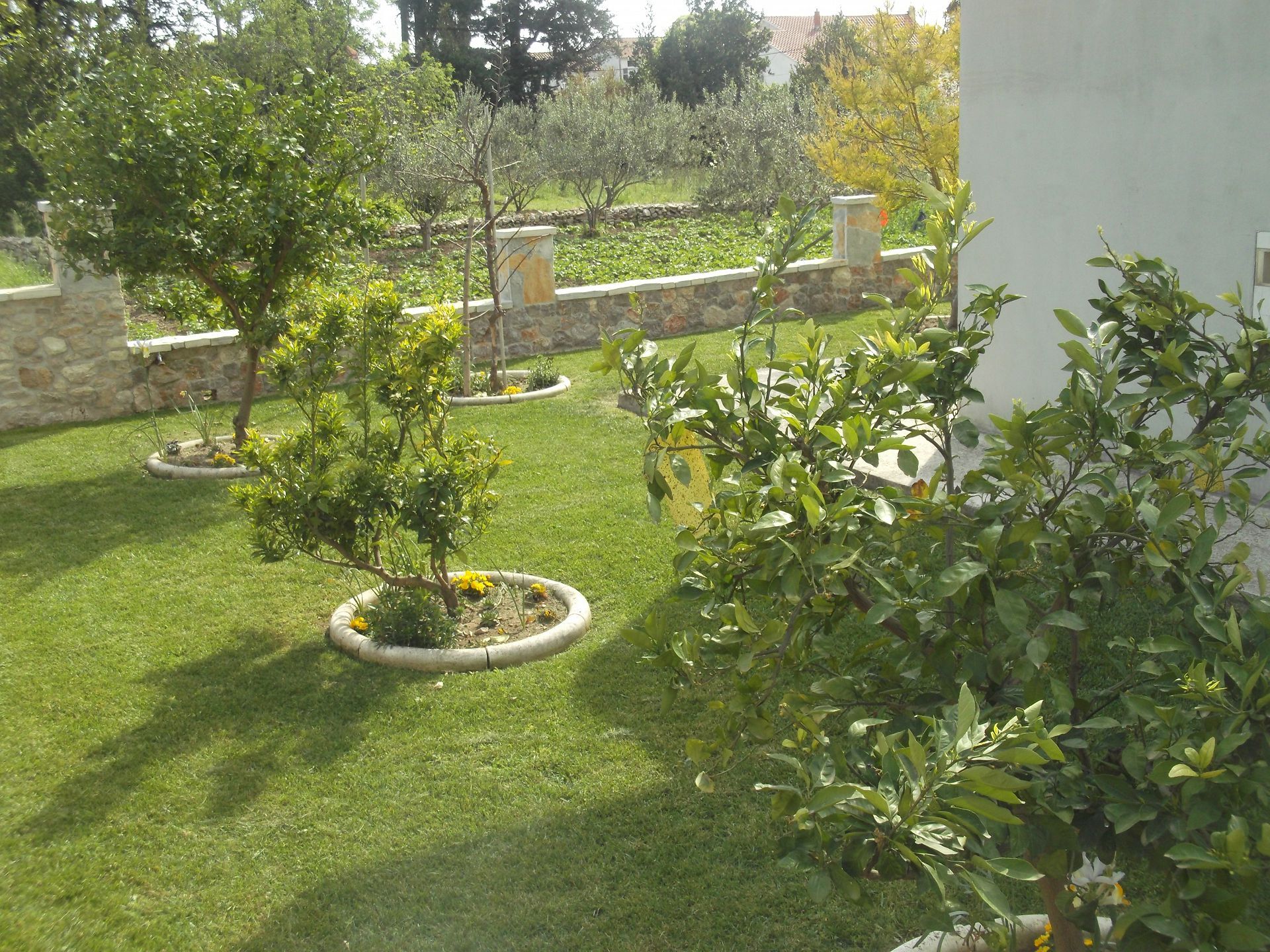 Apartments Ivica 108231-A1