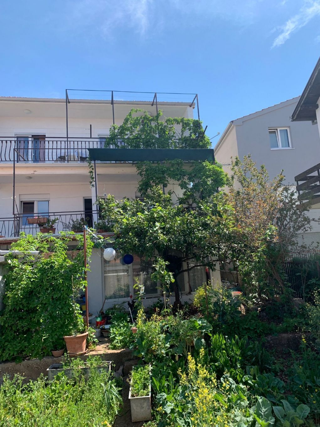 Apartments Josip 108251-A1