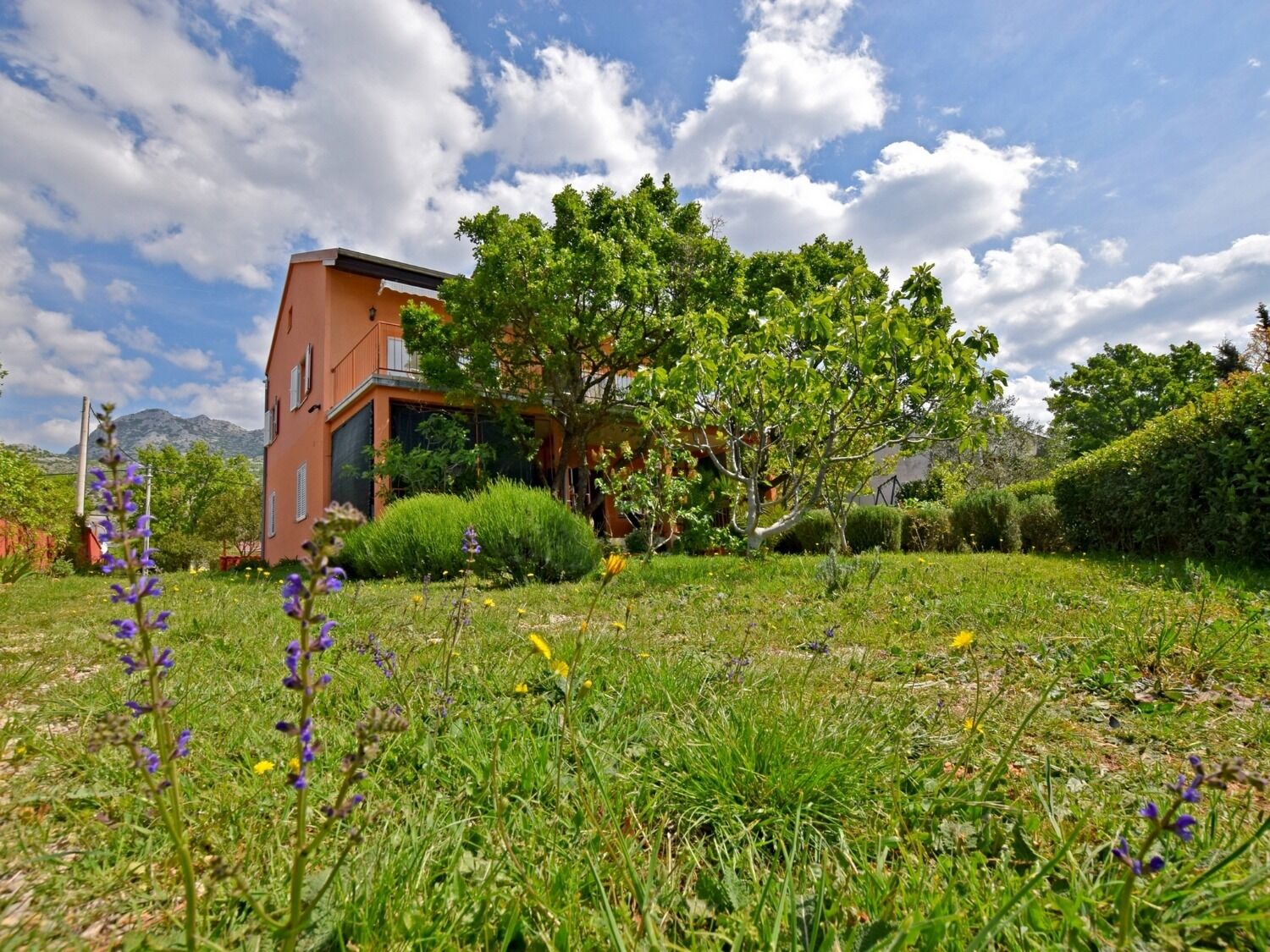 Apartments Mari Accommodation in Seline