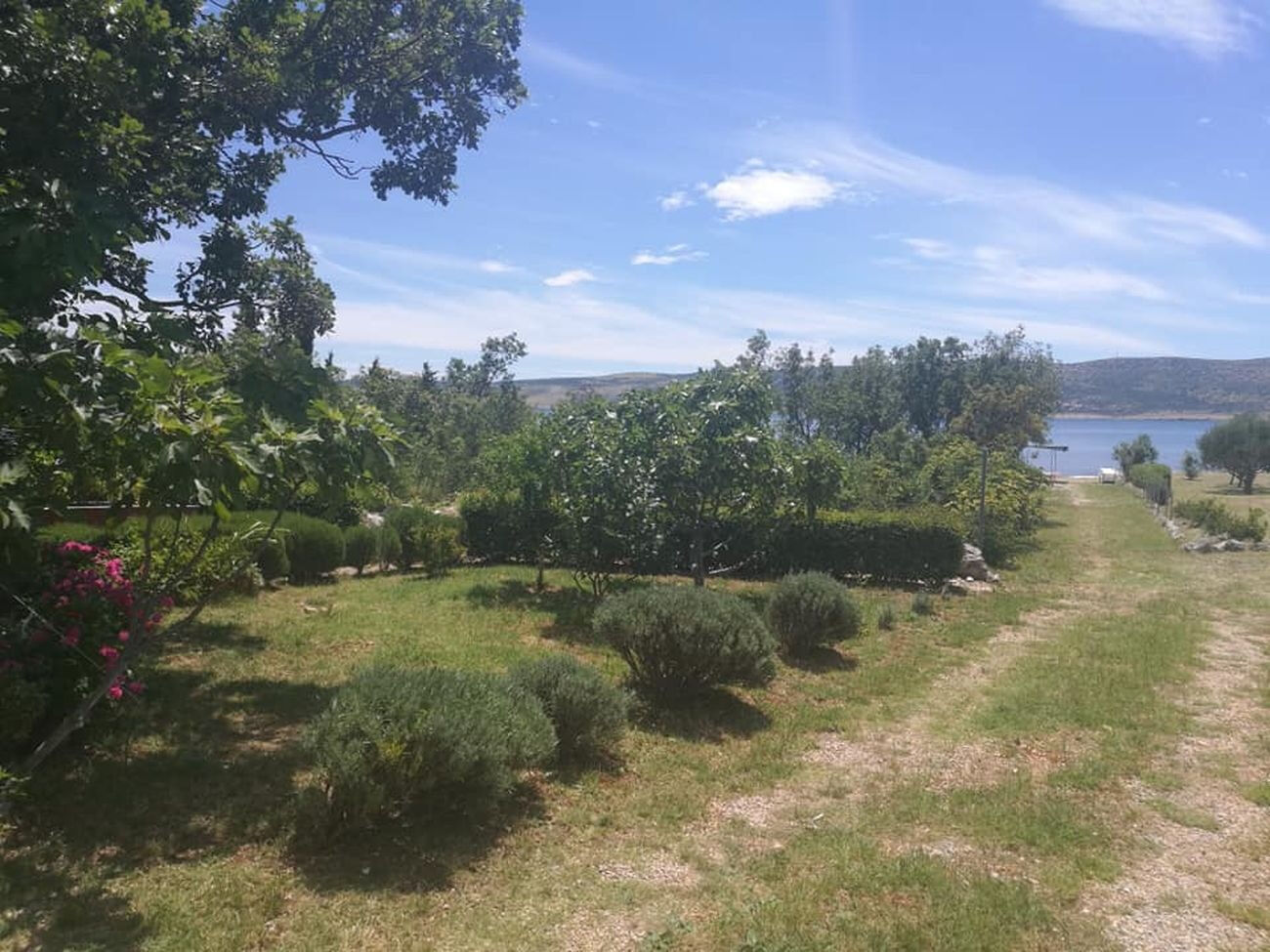 Photo of Apartments Mari