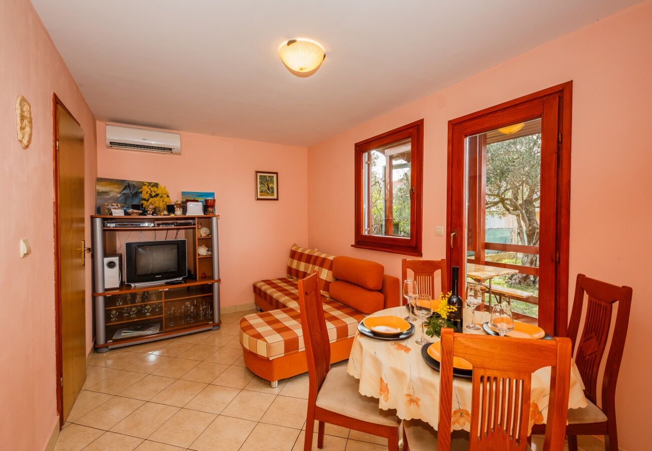 House Božena 10836-K1