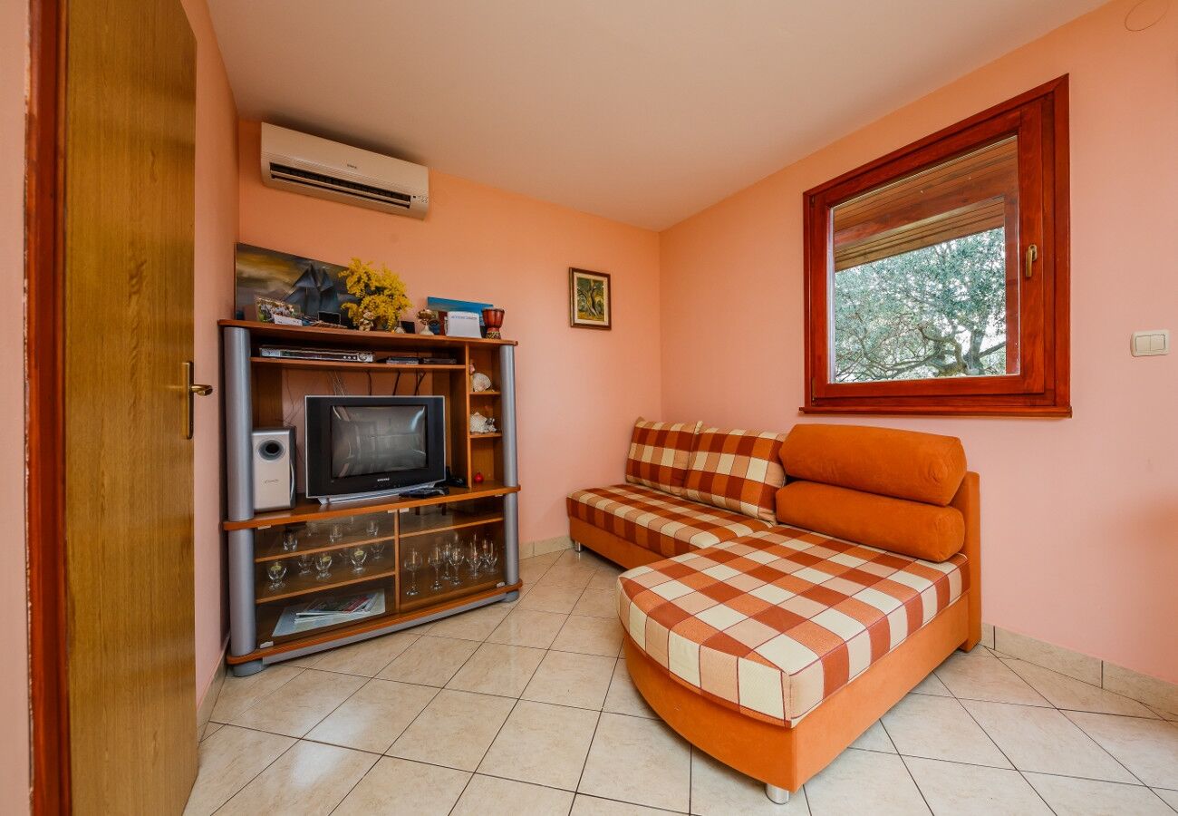 House Božena 10836-K1