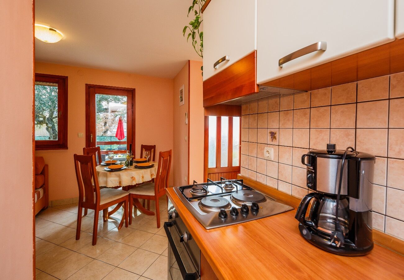 House Božena 10836-K1