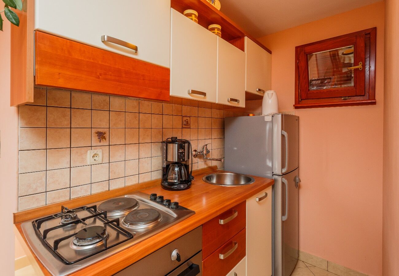 House Božena 10836-K1