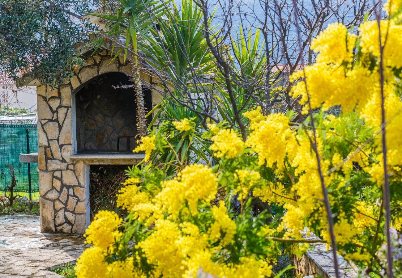 Photo of House Božena