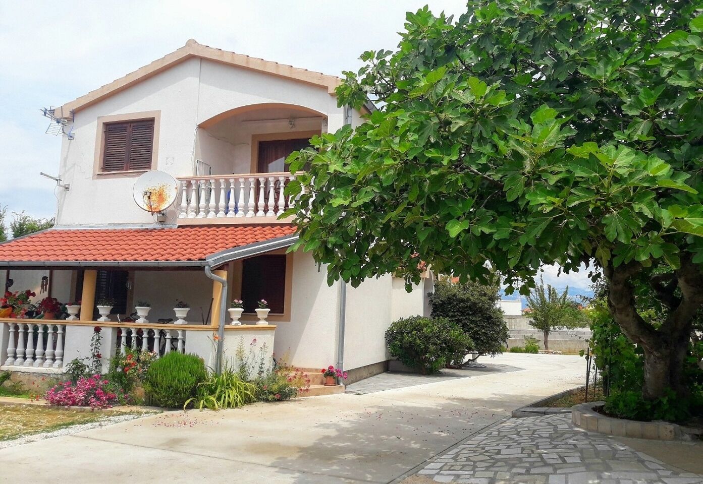 Apartment Ljilja 10838-A1