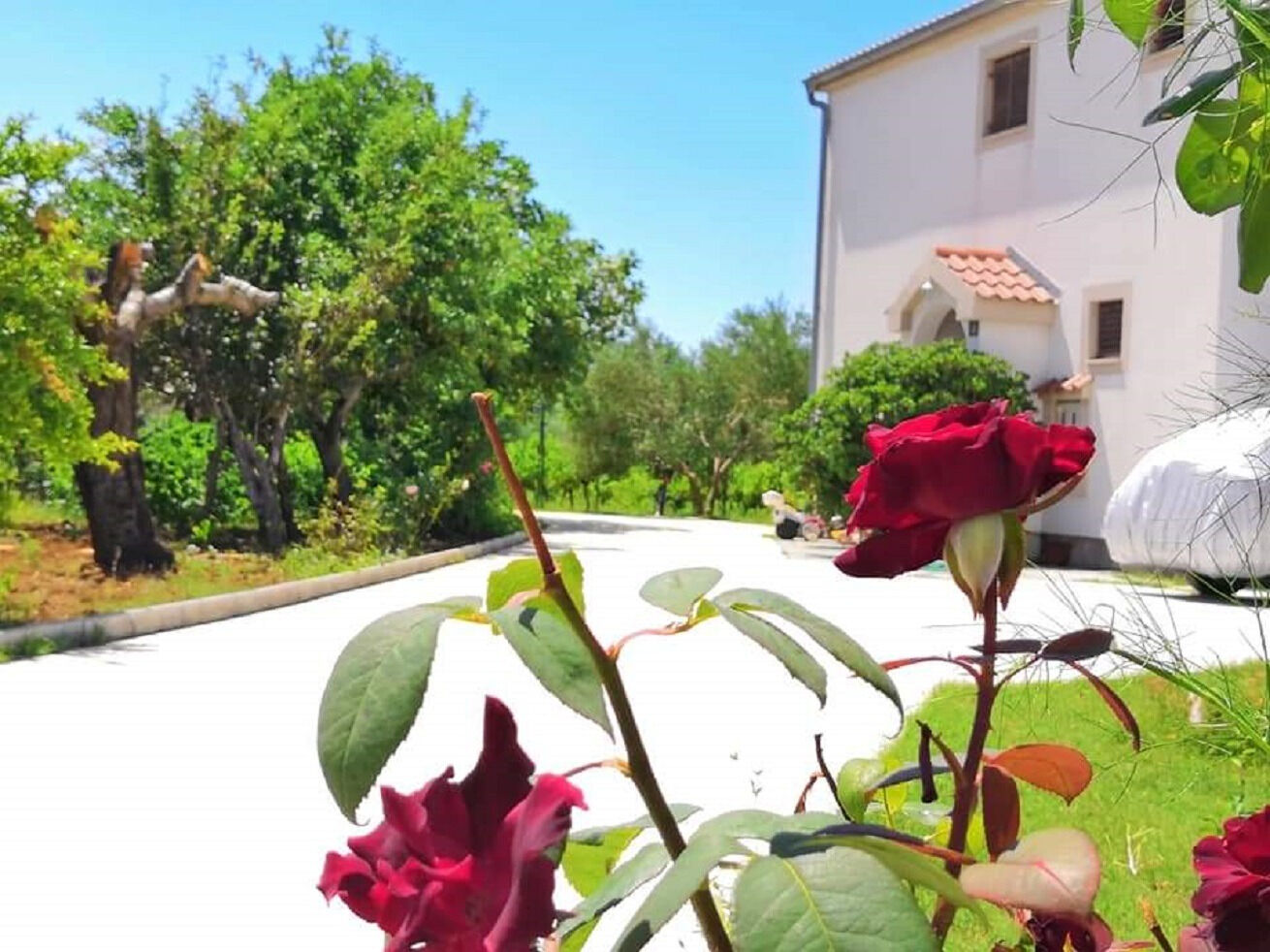 Apartment Ljilja 10838-A1