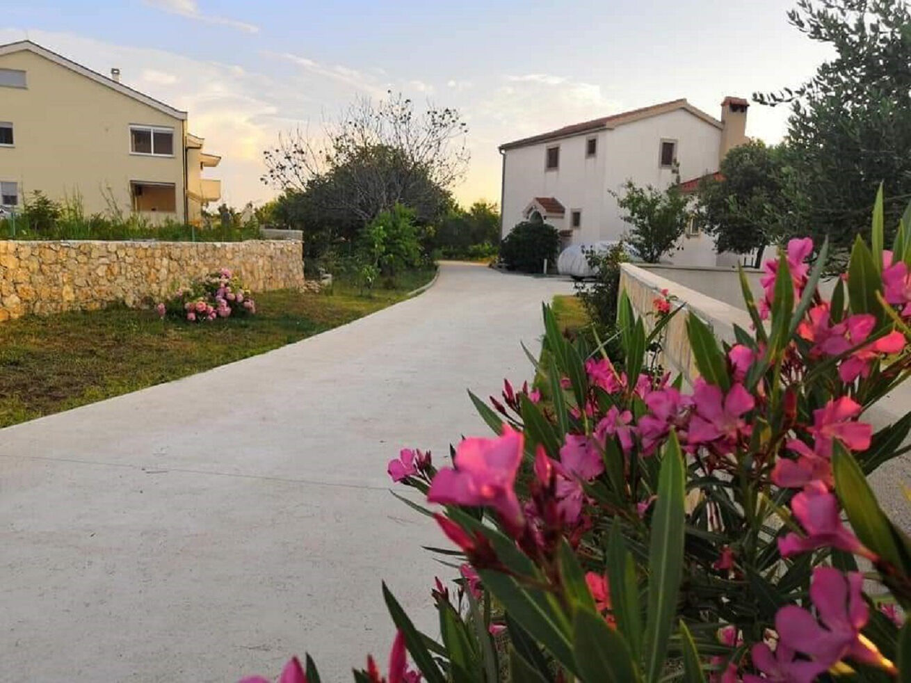Apartment Ljilja 10838-A1