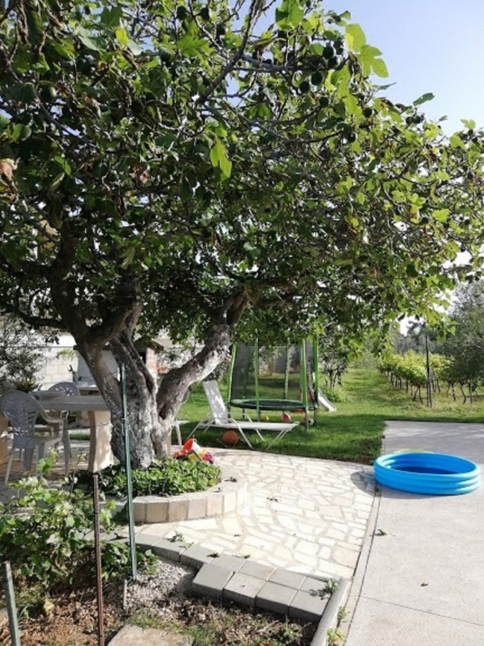 Apartment Ljilja 10838-A1