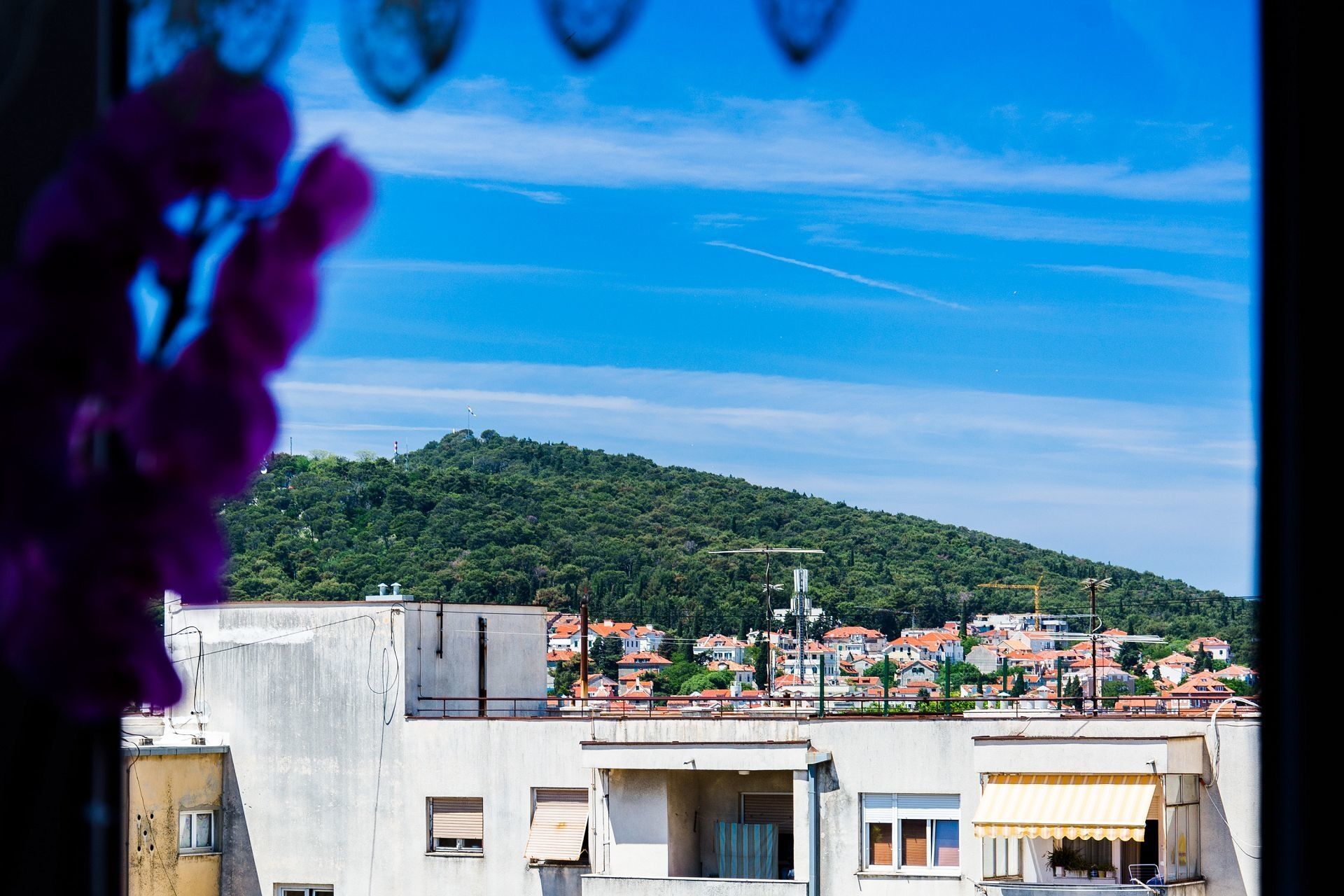 Apartment Dragica 108411-A1