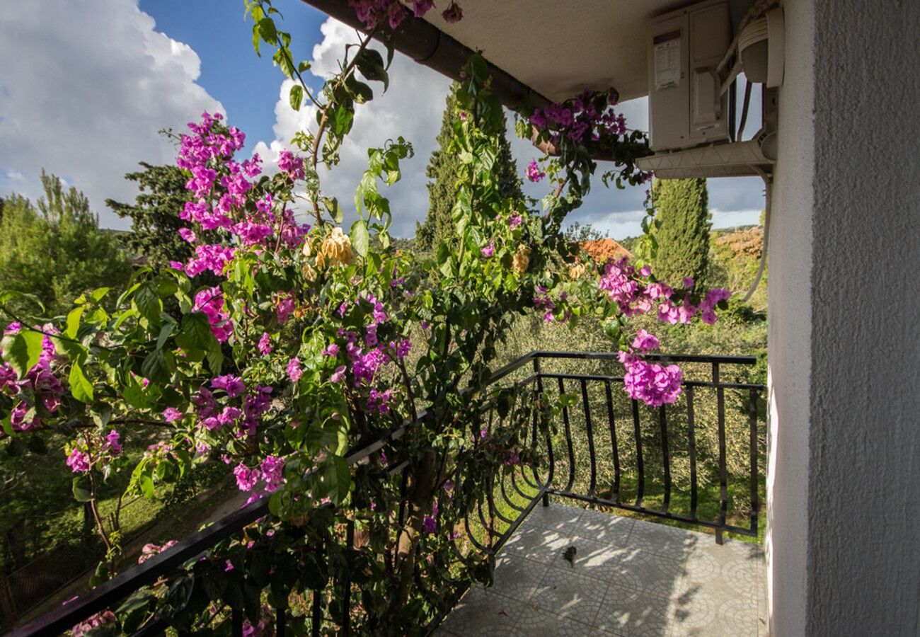 Apartments Daju A3
