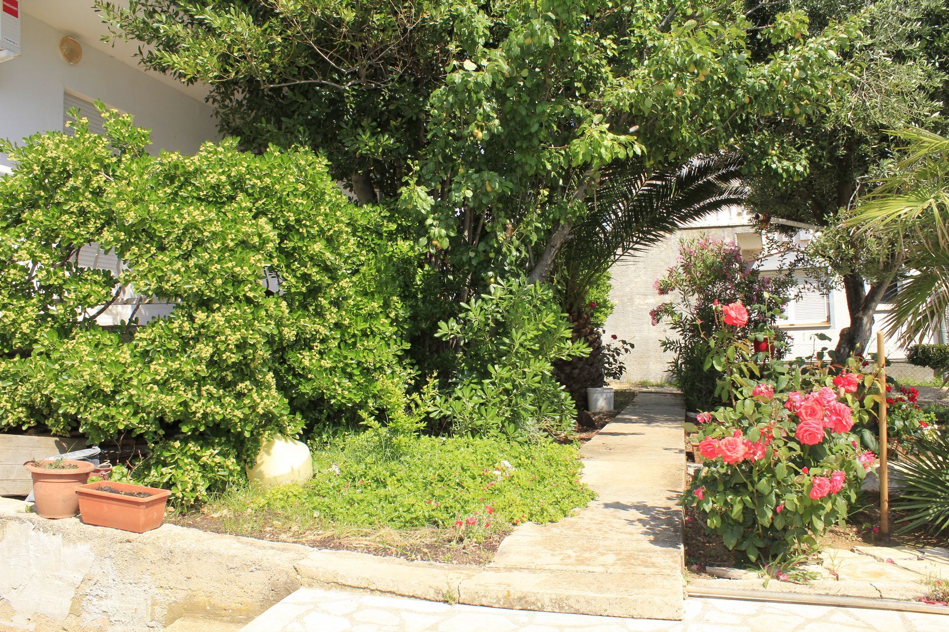 Apartments Branko 10887-A4