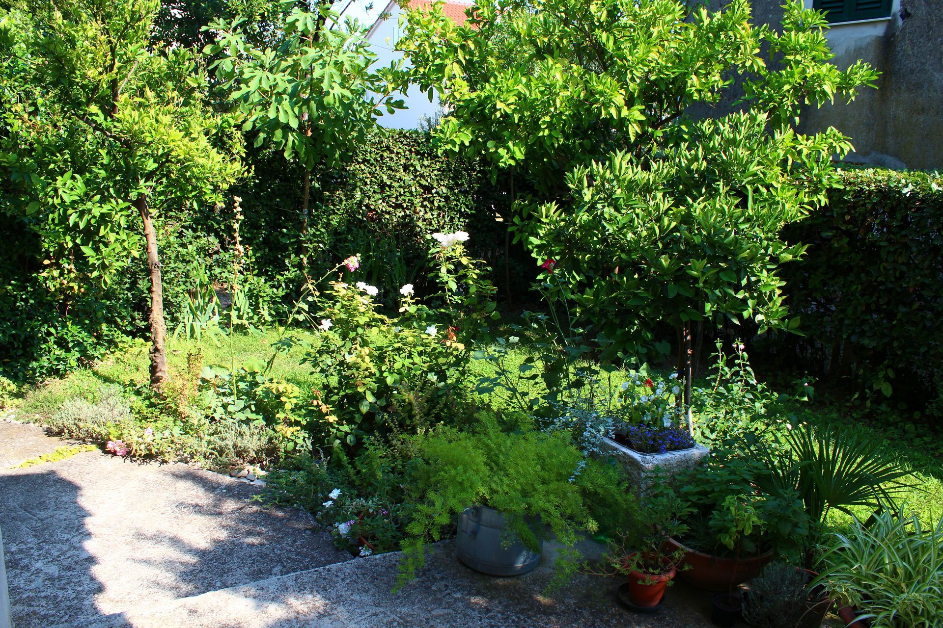 Apartment Lidia 10888-A1