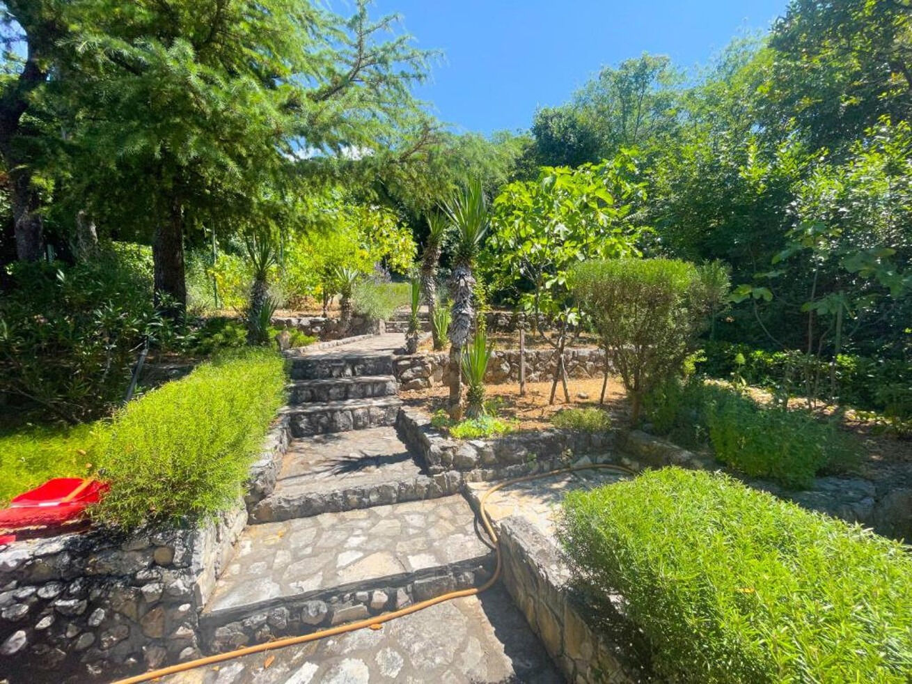 Photo of Apartments Ani