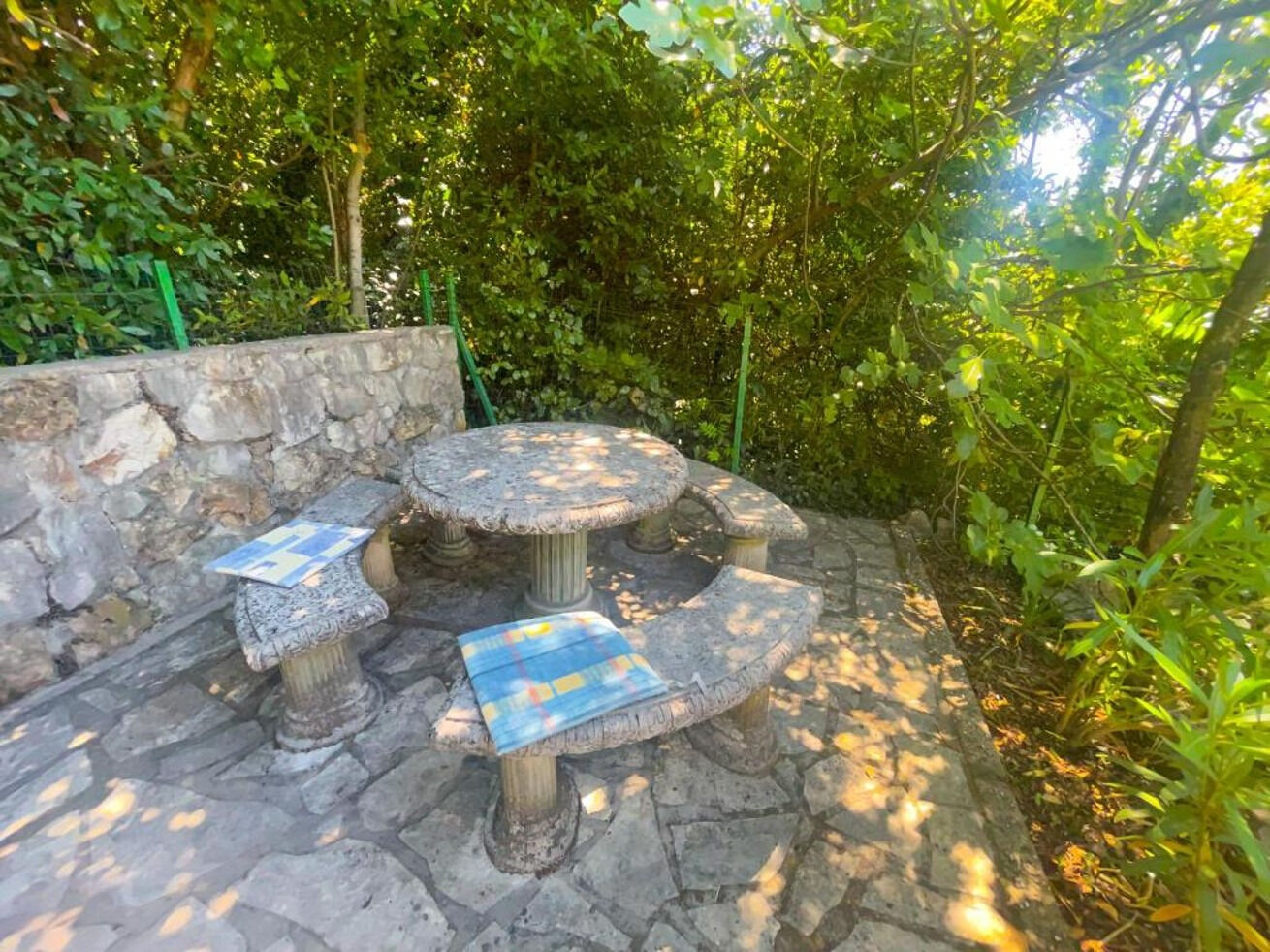 Photo of Apartments Ani