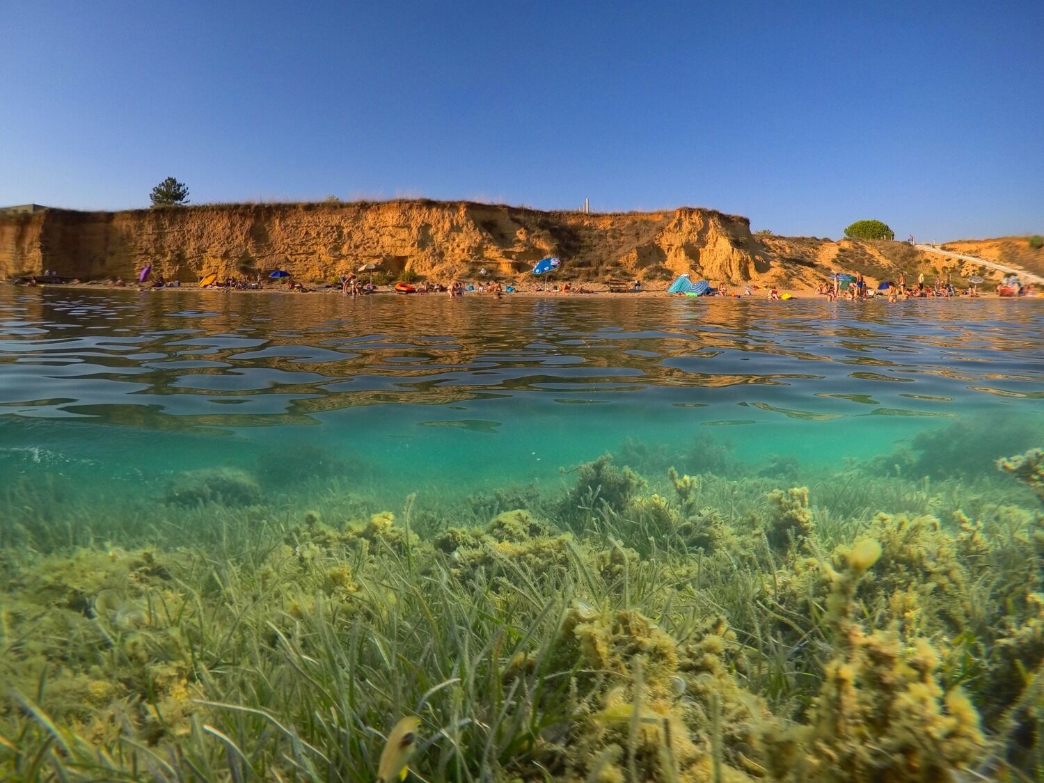 Photo of House Oasis Village Villa