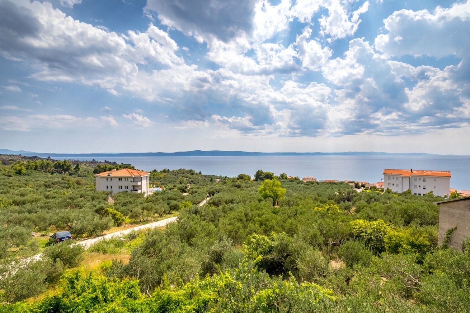 Apartment Damir 108911-A1