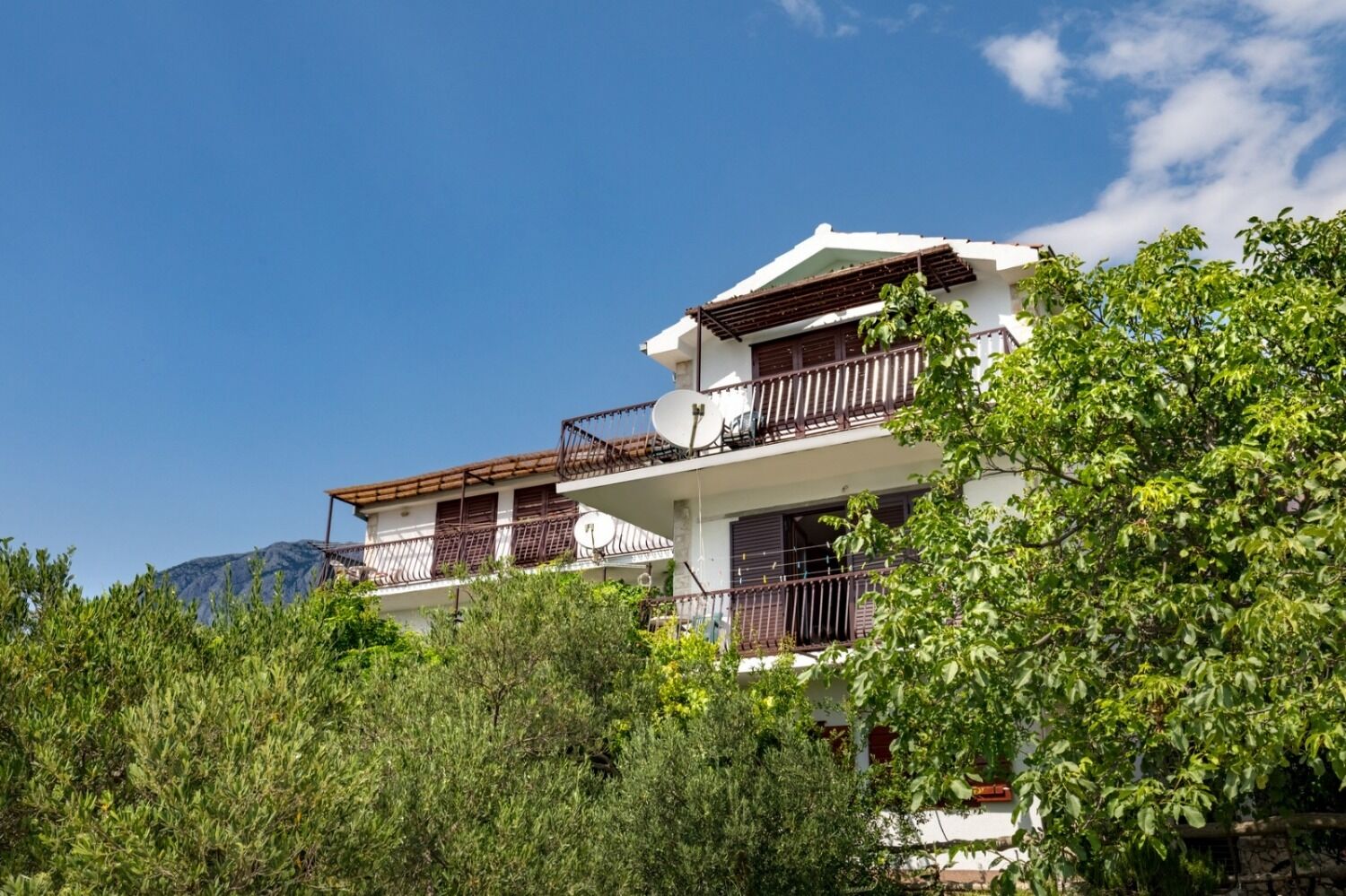 Apartment Damir 108911-A1