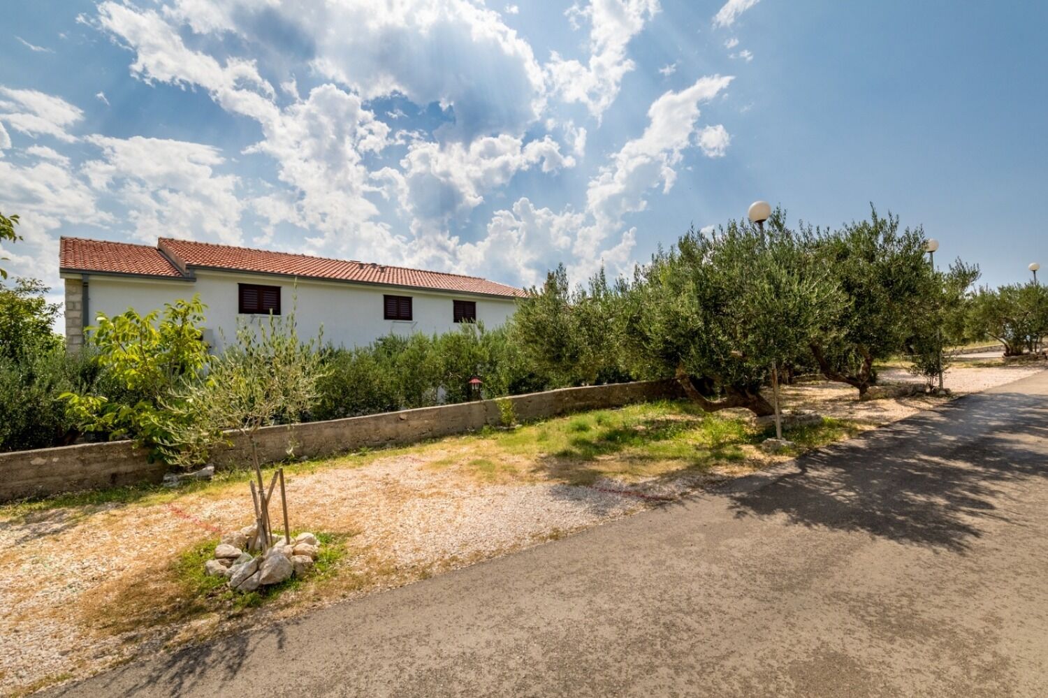 Apartment Damir 108911-A1