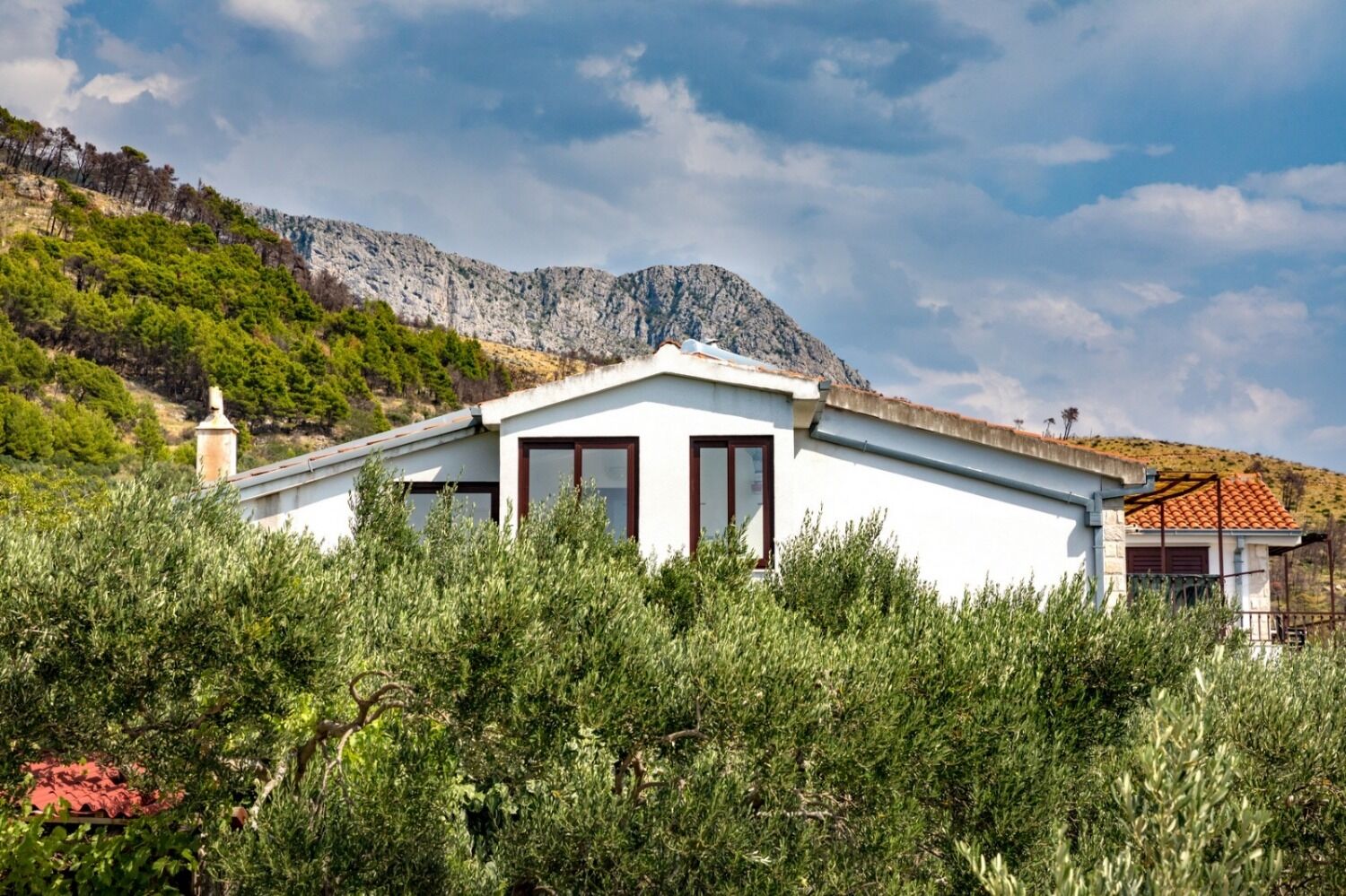 Apartment Damir 108911-A1
