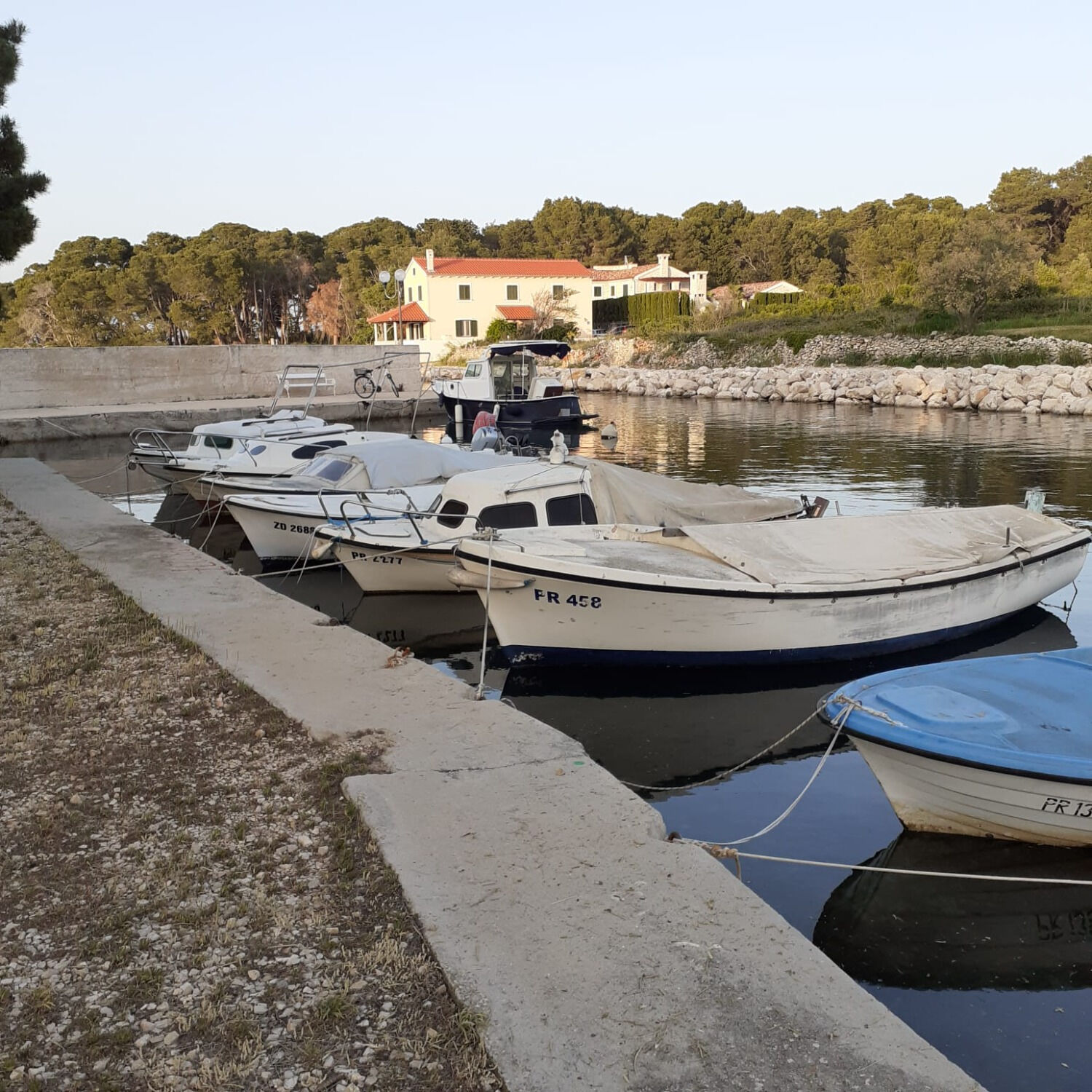 Apartment Renatare 108941-A1