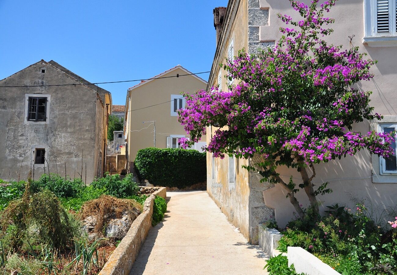 Apartments Oasis 108961-A2