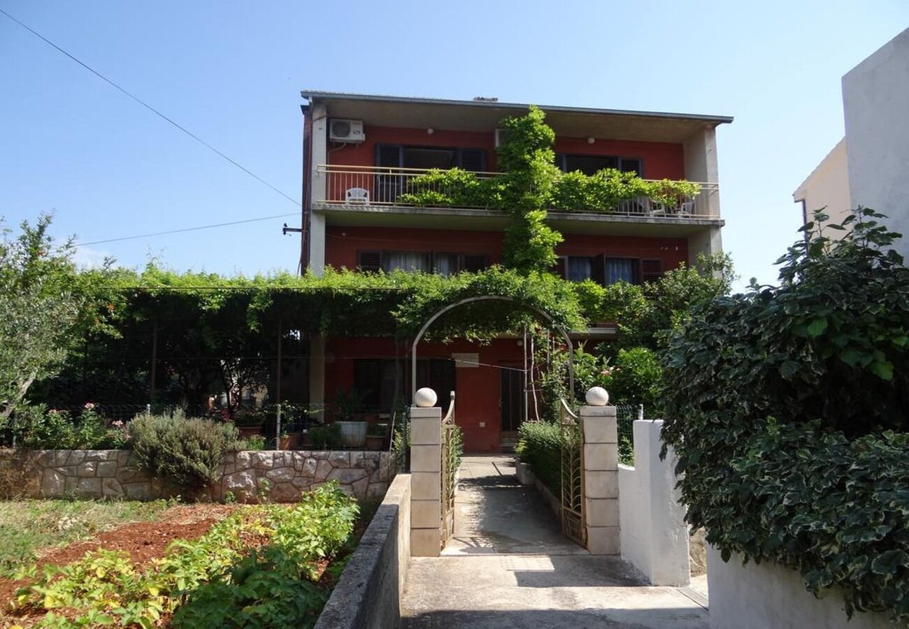 Apartments Igor 10913-A1