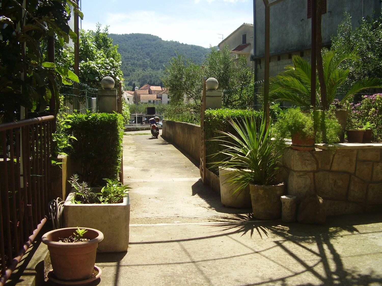Apartments Igor 10913-A1