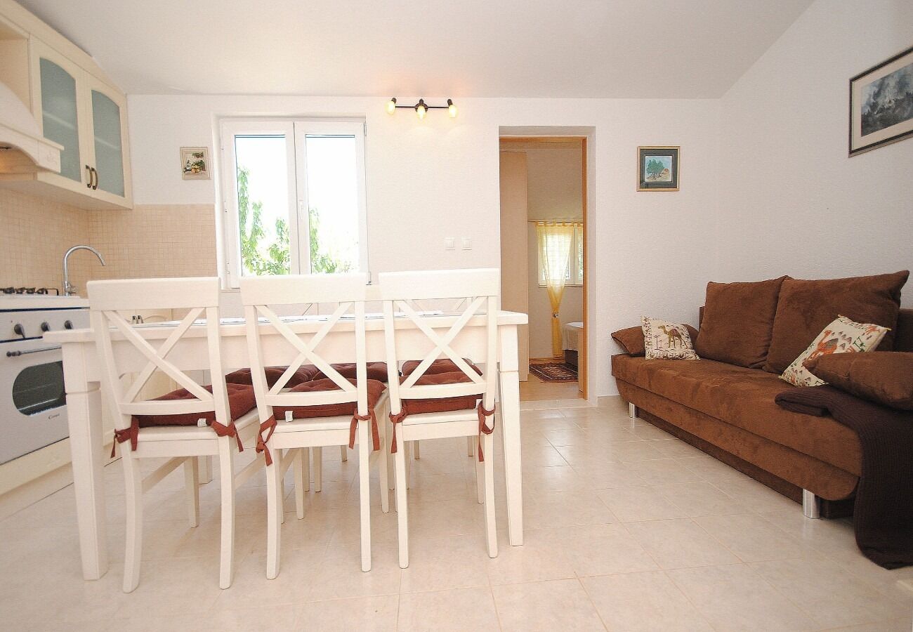 House Mare 109171-K1