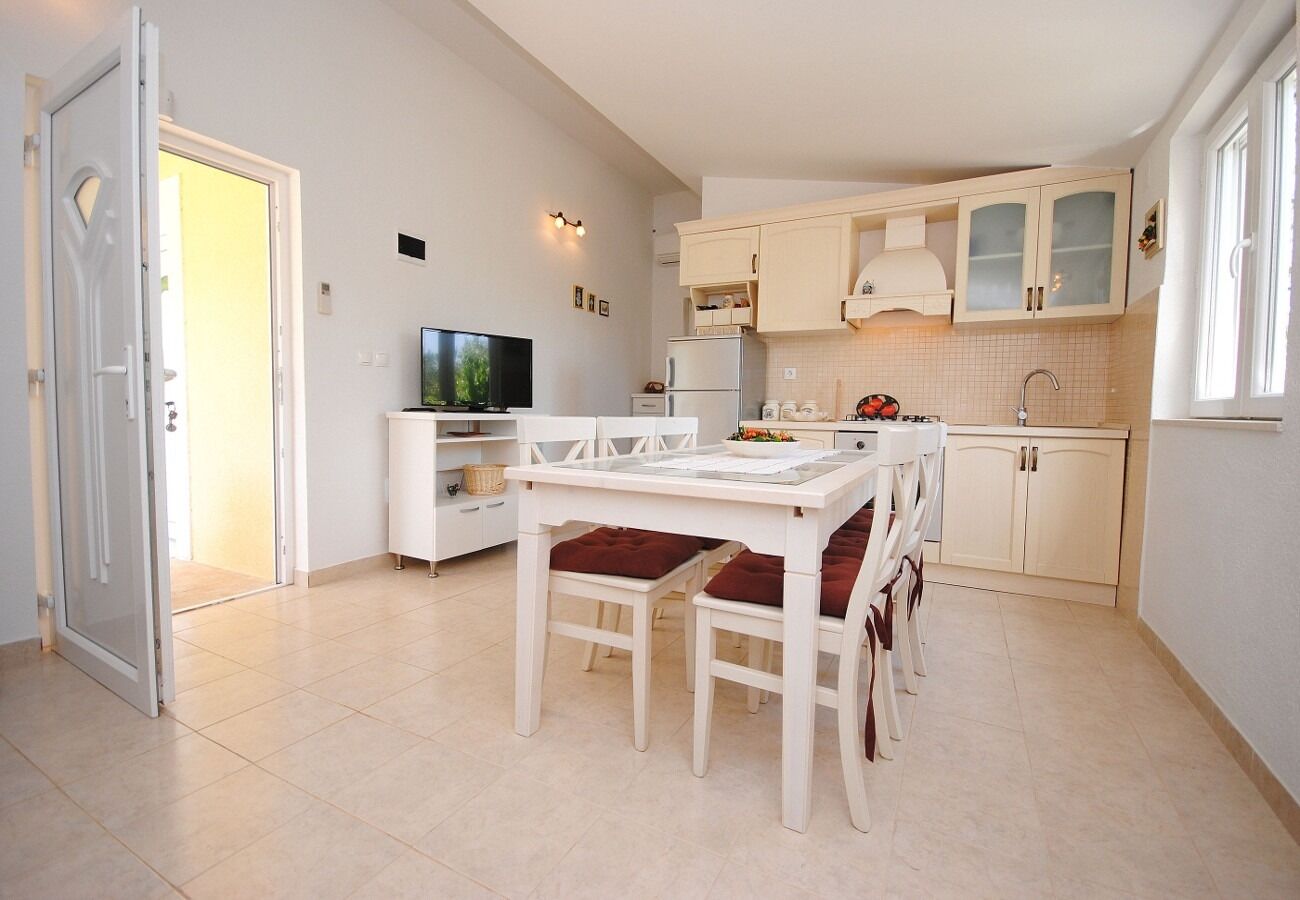 House Mare 109171-K1