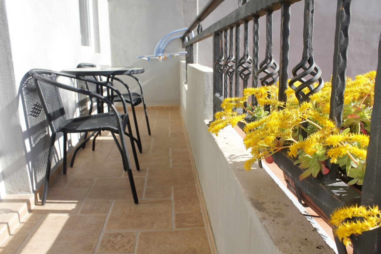 Apartments Old Stone: 109301-A1