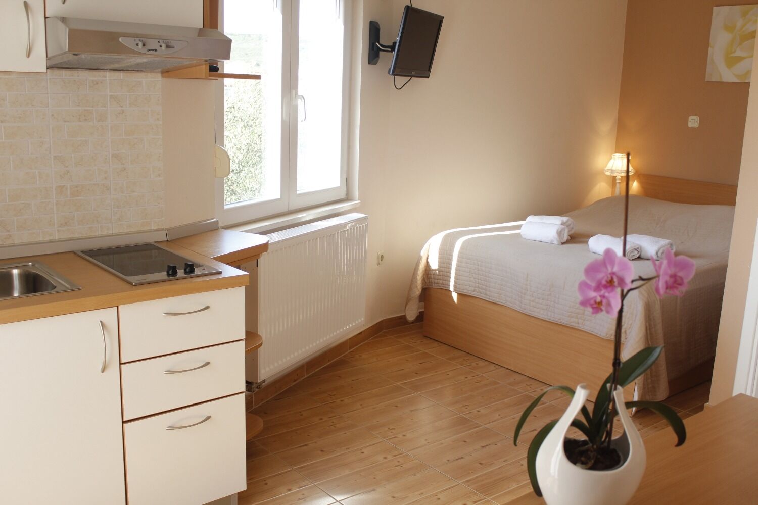 Apartments Old Stone: 109301-A1