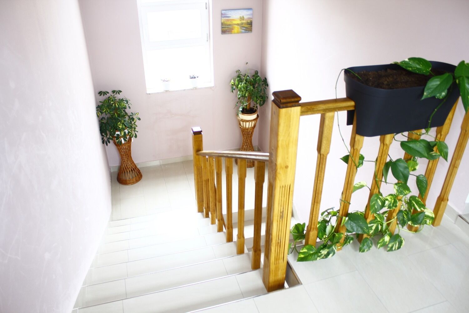 Photo of Apartments Old Stone: