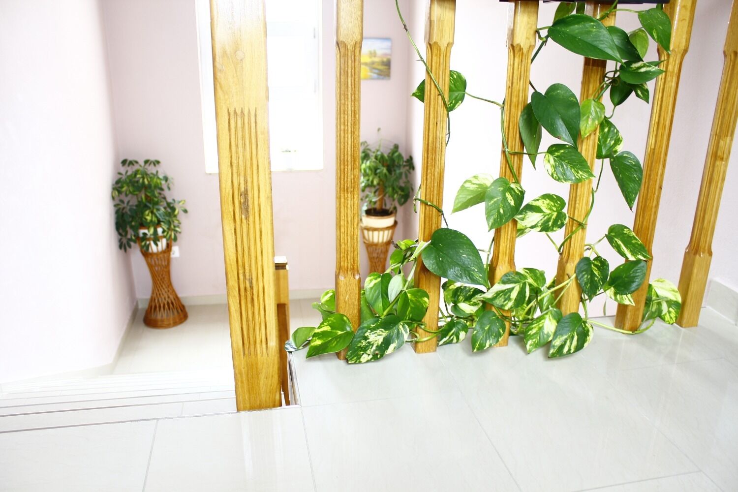 Photo of Apartments Old Stone: