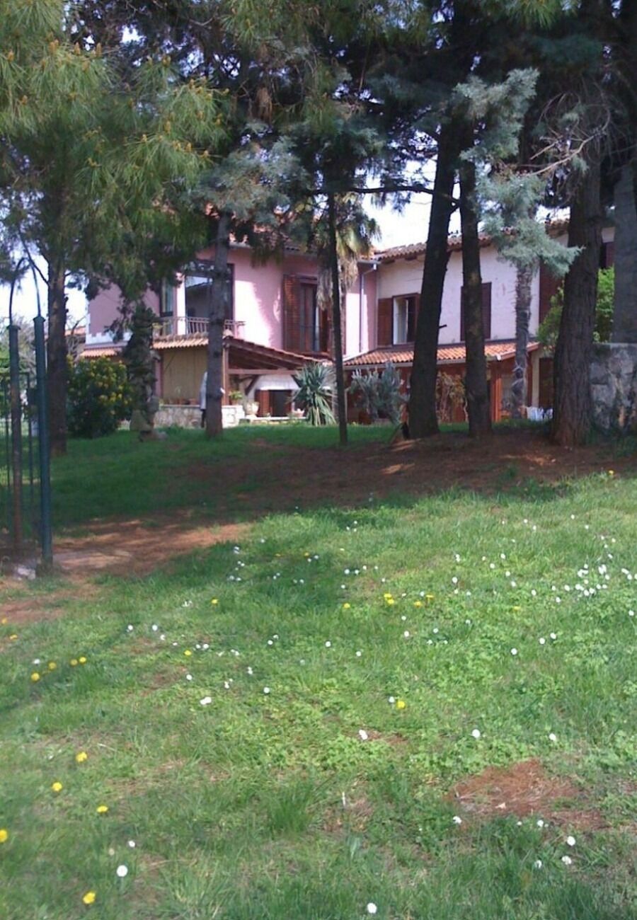 Photo of Apartment Nives