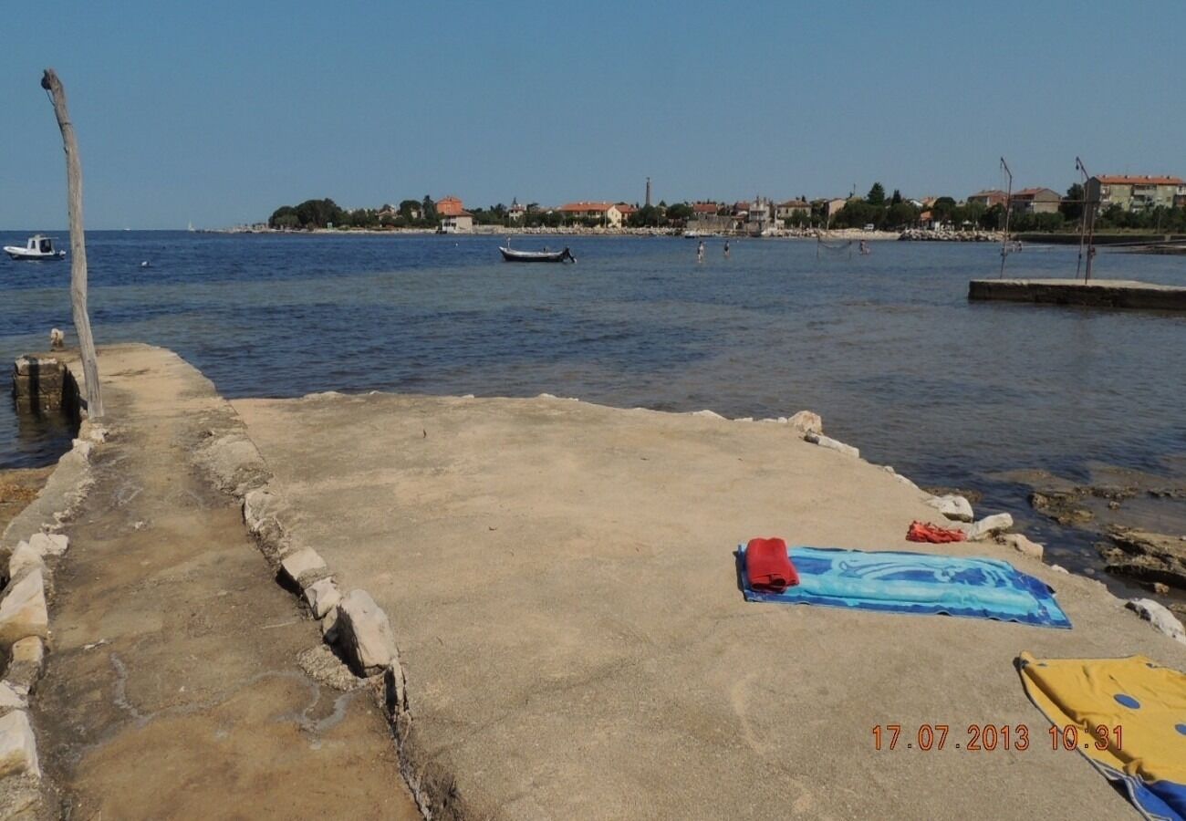 Apartment Niv 109331-A1