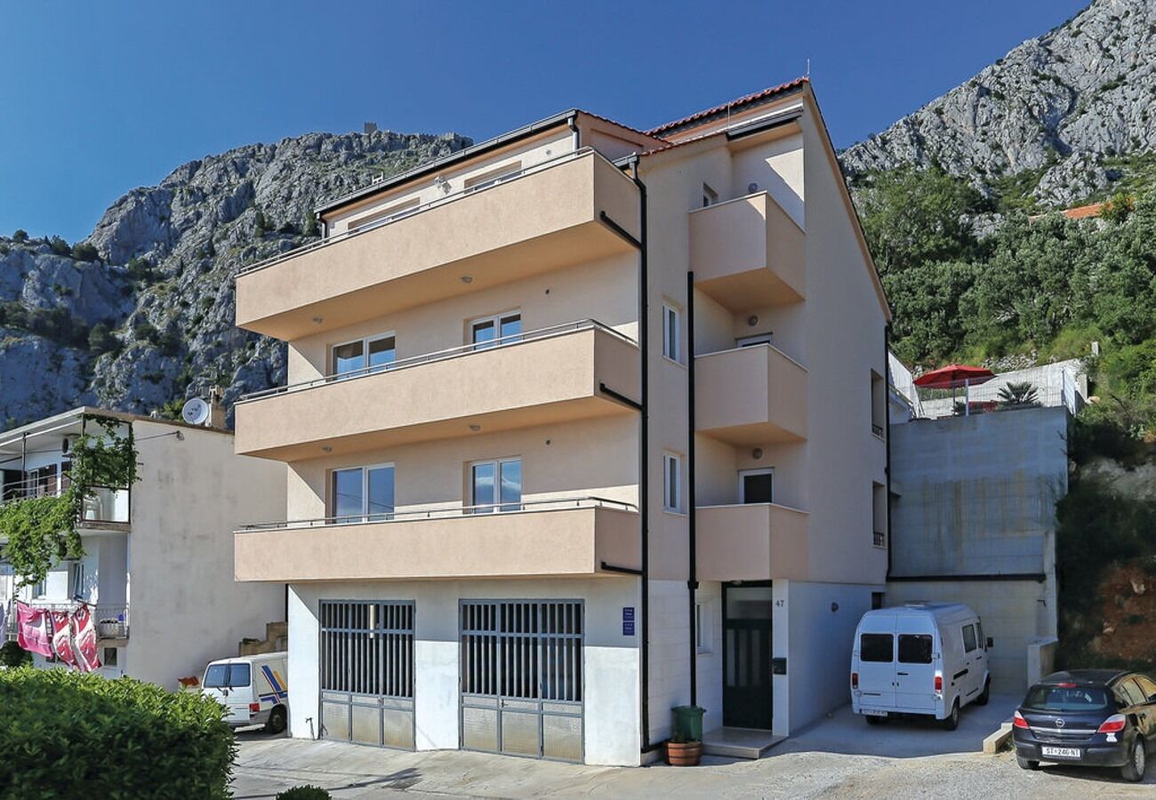 House Miho 109571-K1