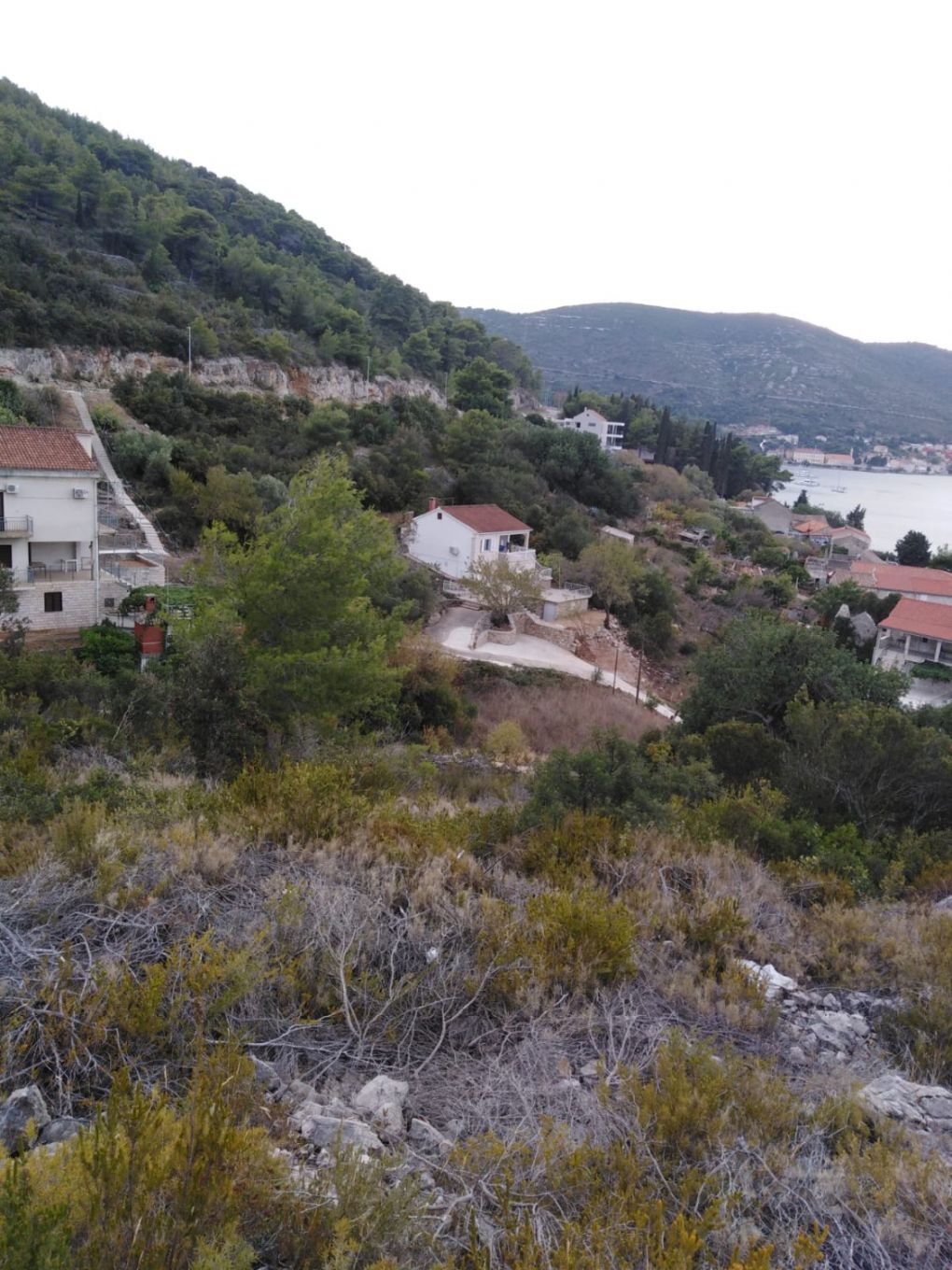 Apartment Mirjana 109661-A1