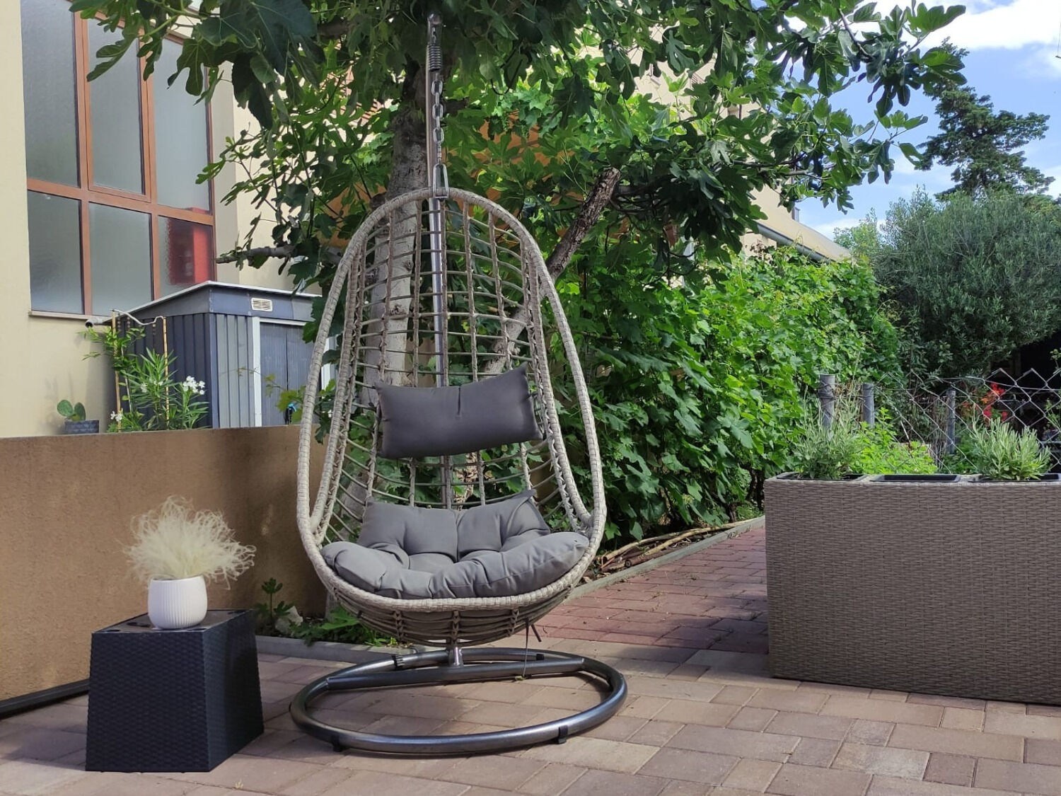 Apartments Oasis 10979-A1