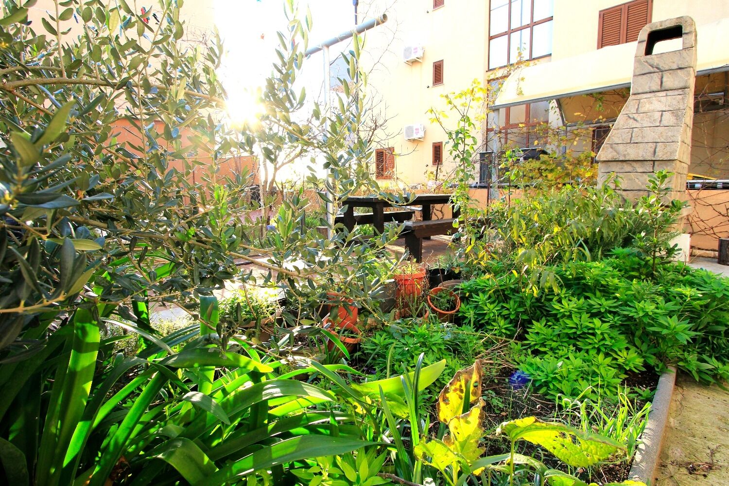 Apartments Oasis 10979-A3