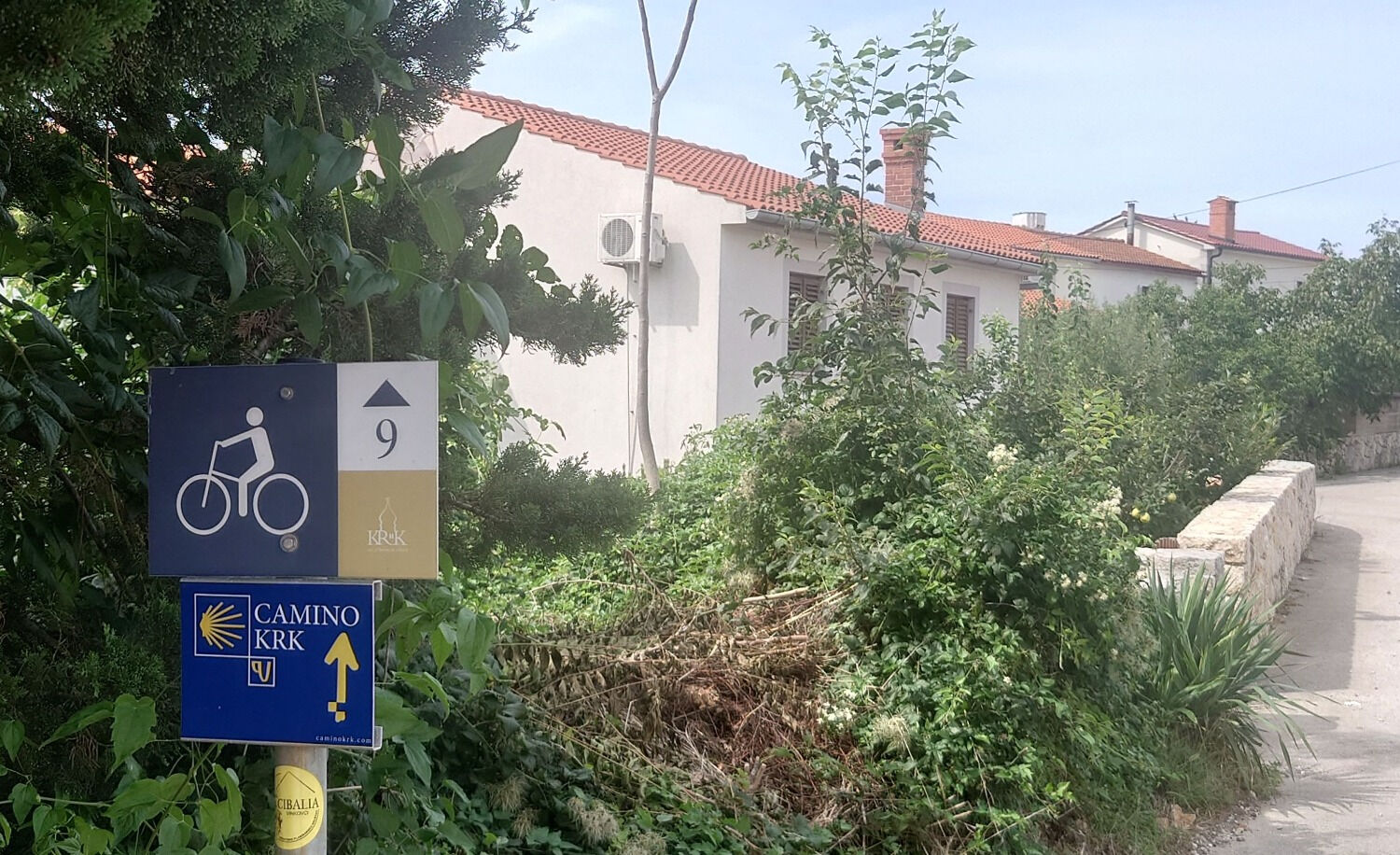 Apartments Insula Insule 10989-A1