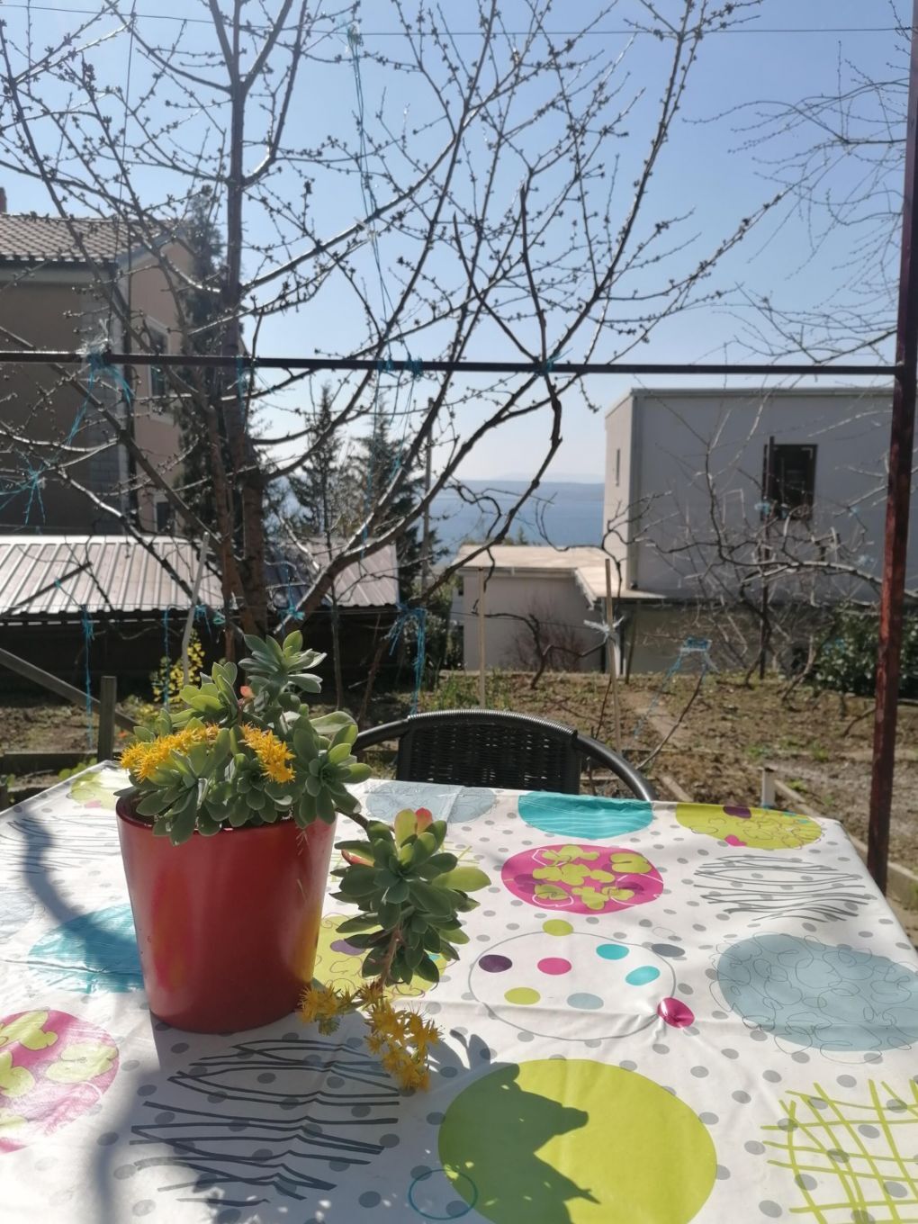 Apartments Olgi 109811-A1