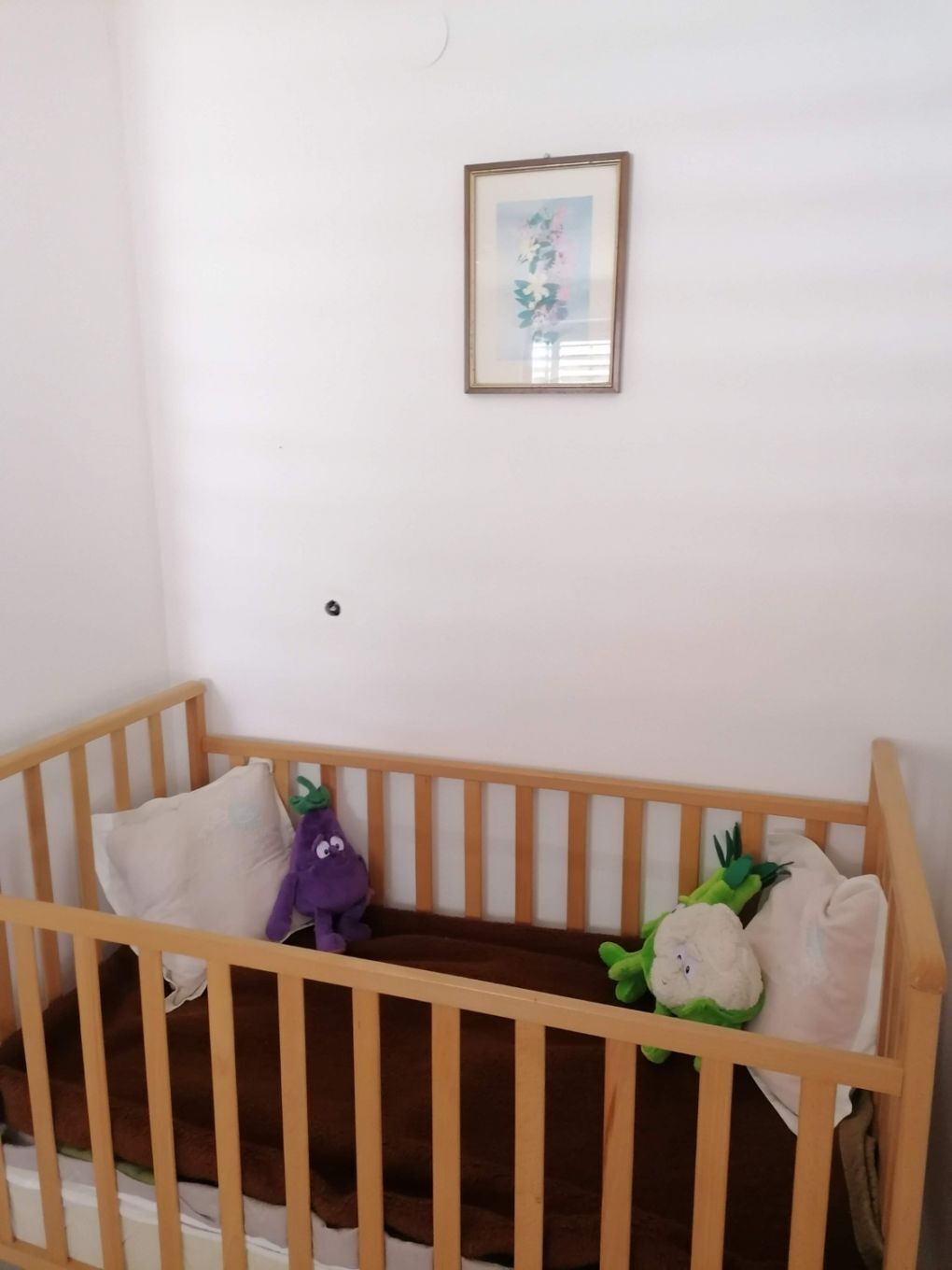 Apartments Olgi 109811-A1