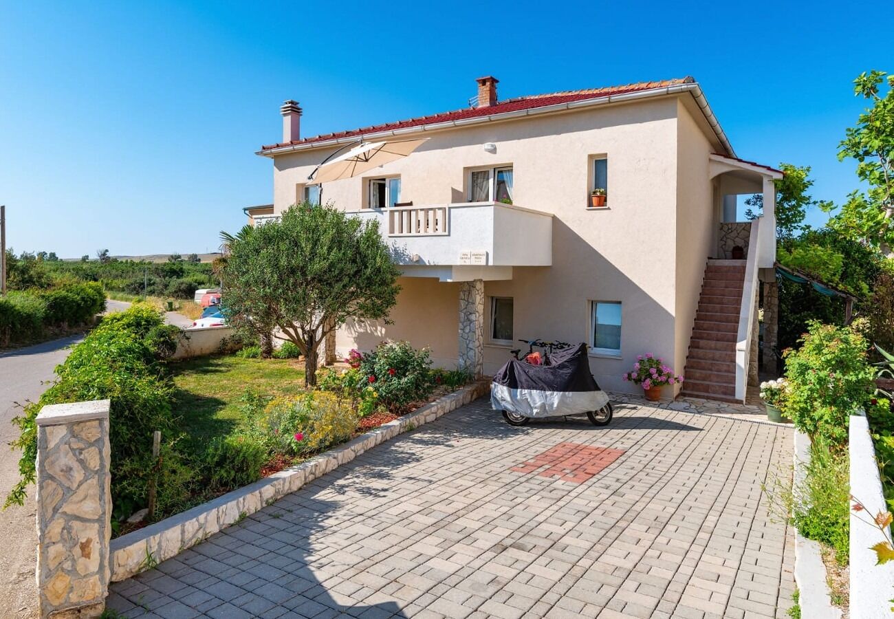 Apartment San 109831-A3