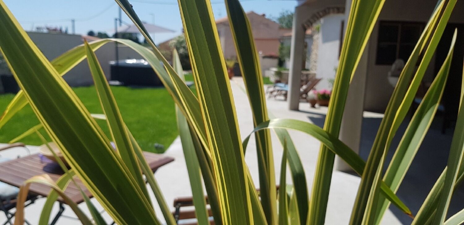 Photo of Apartments and Room Perstel