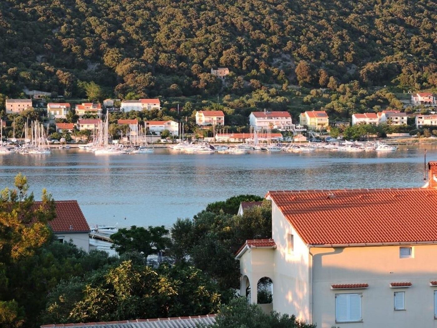 Photo of Apartments and Room Mario