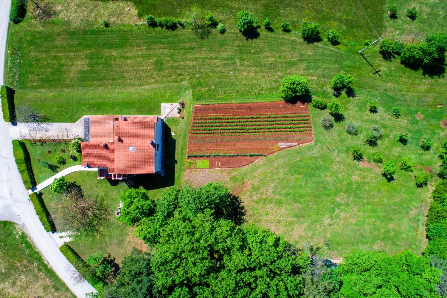 Apartment Bruno 110081-A1