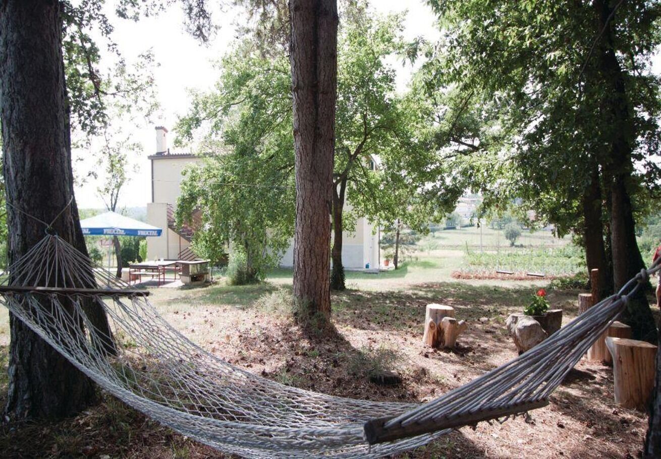 Photo of Apartment Bruno