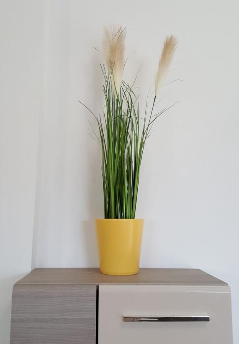 Apartment Sime 110091-A1